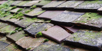 Fazeley roof repair costs